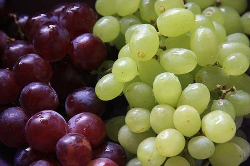 🍇 Grapes